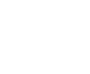 Evolution games at Bet Beard Casino